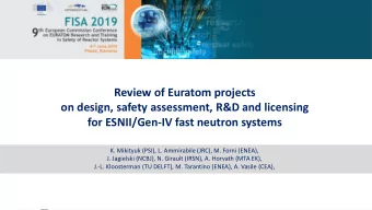 Review of Euratom projects  on design, safety assessment, R&amp;D and licensing  for ESNII/Gen-IV