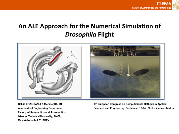 an ale approach for the numerical simulation of