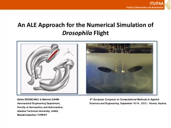 An ALE Approach for the Numerical Simulation of Drosophila Flight Belkis ERZINCANLI &amp; Mehmet