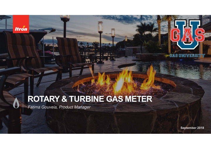 rotary turbine gas meter
