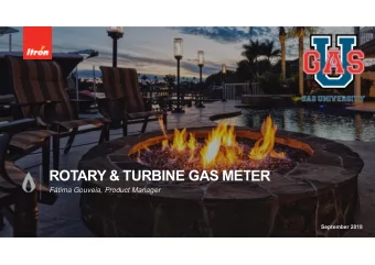 ROTARY &amp; TURBINE GAS METER  Ftima Gouveia, Product Manager  September 2018  AN EYE TO THE