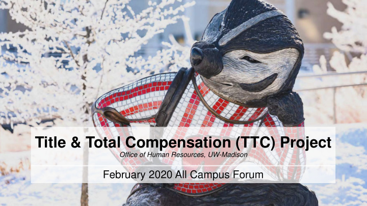 title total compensation ttc project