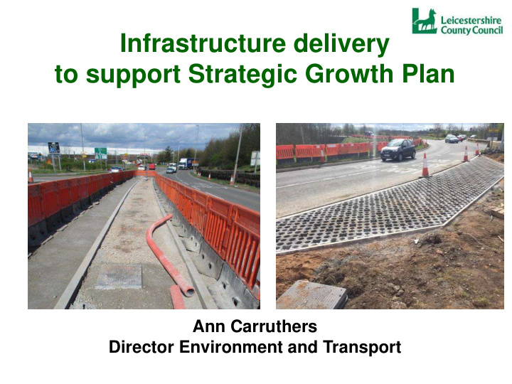 ann carruthers director environment and transport
