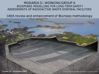 modaria ii working group 6