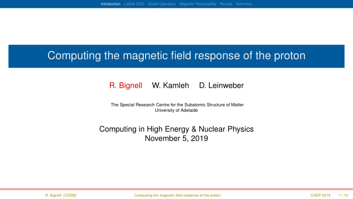 computing the magnetic field response of the proton