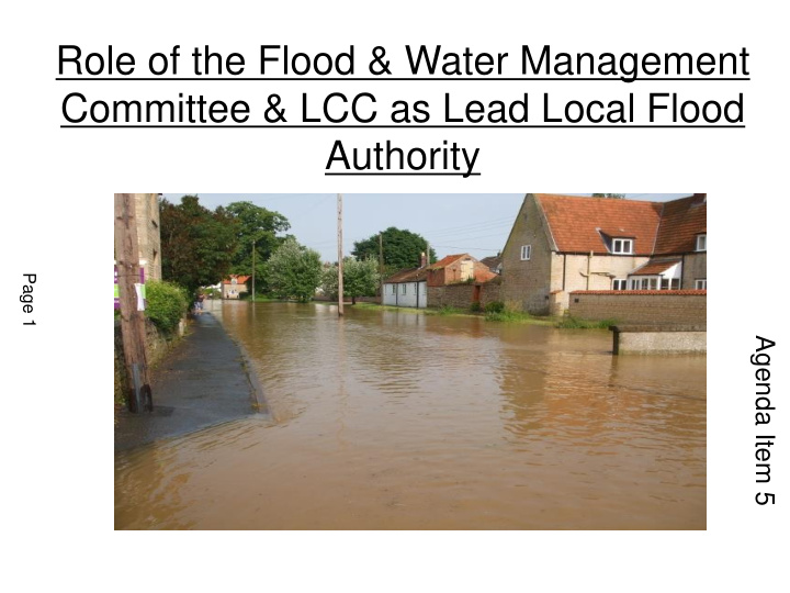 role of the flood water management committee lcc as lead