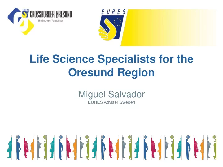 oresund region