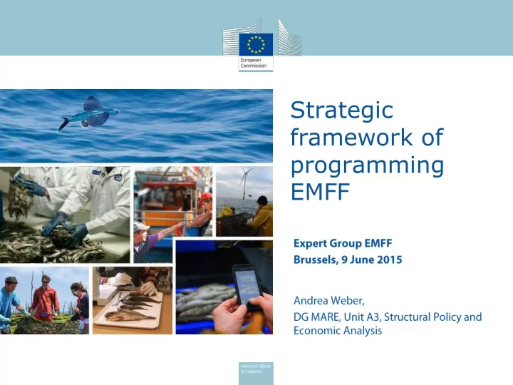 framework of