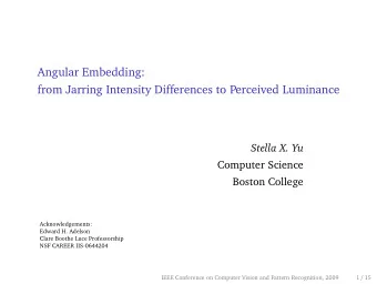 Angular Embedding:  from Jarring Intensity Differences to Perceived Luminance  Stella X. Yu