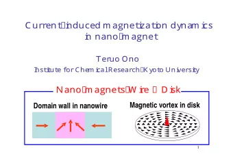 C  u  r  r  e  n  t  -  i  n  d  u  c  e  d  ma  g  n  e  t  i  z  a  t  i  o  n  d  y  n  a  mi  c