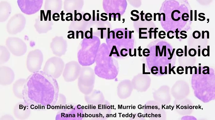 metabolism stem cells and their effects on acute myeloid