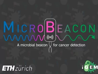 A microbial beacon     for cancer detection  Primary  Metastasis  cancer  1 WHO Cancer Fact Sheet N
