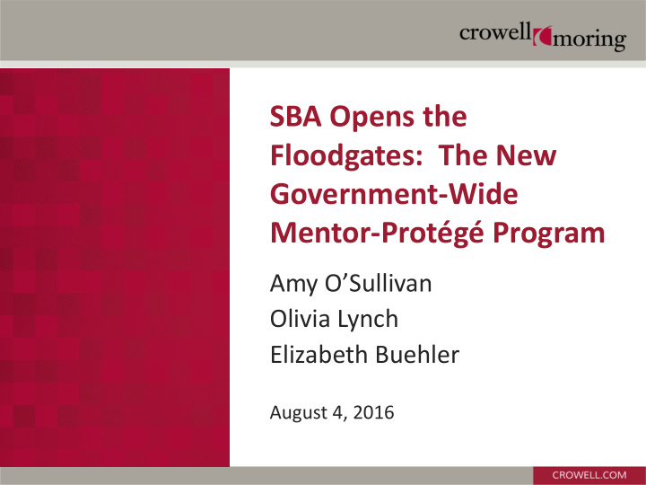 sba opens the floodgates the new government wide mentor