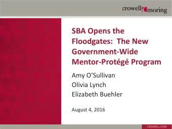 SBA Opens the  Floodgates:  The New  Government-Wide  Mentor-Protg Program  Amy OSullivan
