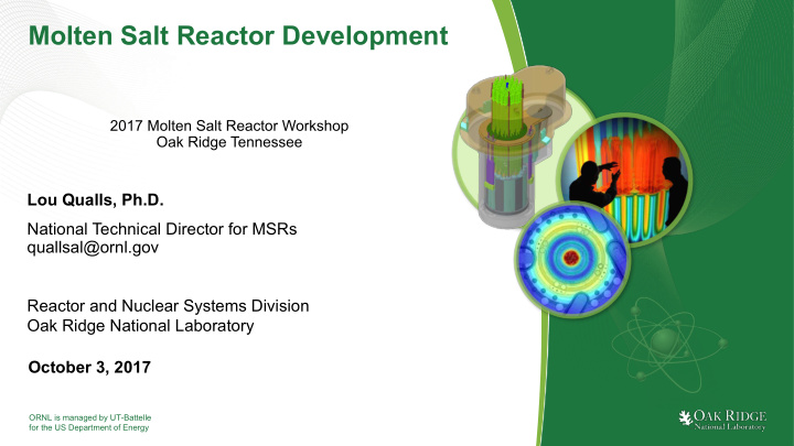 molten salt reactor development
