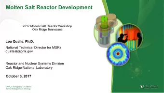 Molten Salt Reactor Development  2017 Molten Salt Reactor Workshop  Oak Ridge Tennessee  Lou