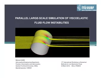 PARALLEL LARGE-SCALE SIMULATION OF VISCOELASTIC  FLUID FLOW INSTABILITIES  Mehmet SAHIN 17 th