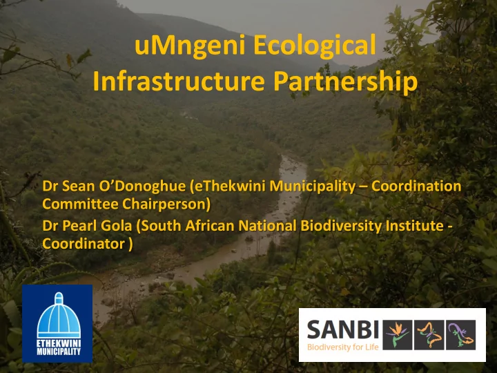 umngeni ecological infrastructure partnership