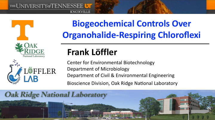 biogeochemical controls over organohalide respiring