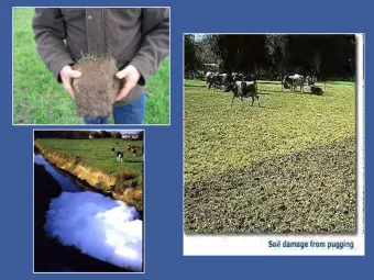 Weve got some issues.... The Dominion-Post The scale of dirty dairying in this country:  Figures