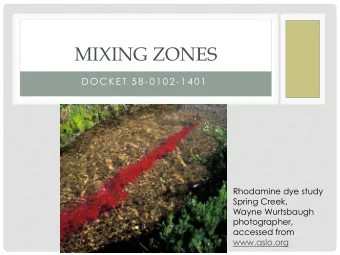 MIXING ZONES  DOCK E T 5 8 -0 1 0 2 -1 4 0 1  Rhodamine dye study  Spring Creek,  Wayne Wurtsbaugh