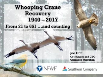 Joe Duff  Co-founder and CEO  Operation Migration  History  Aransas Wood Buffalo Population  Down