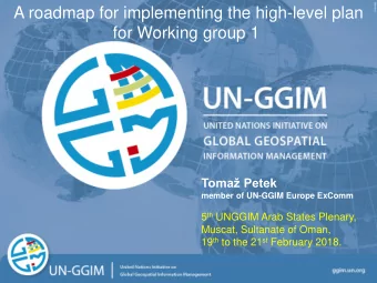 A roadmap for implementing the high-level plan  for Working group 1  Toma Petek  member of