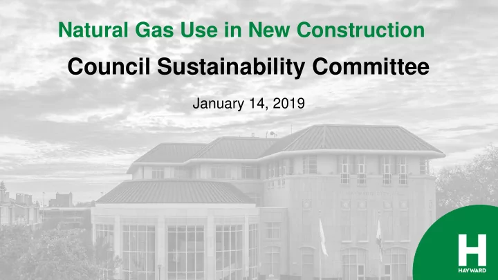 council sustainability committee