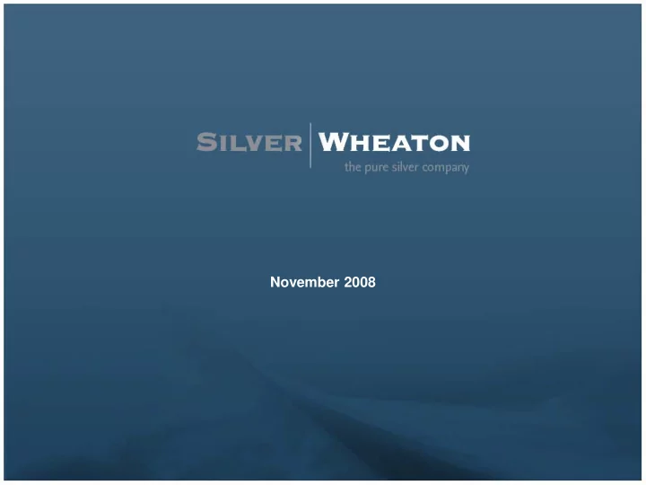 november 2008 cautionary statements