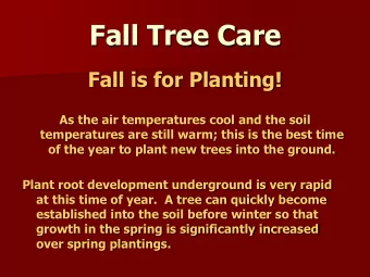 Fall Tree Care  Fall is for Planting!  As the air temperatures cool and the soil  temperatures are