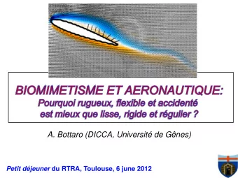A. Bottaro (DICCA, Universit de Gnes) Petit djeuner du RTRA, Toulouse, 6 june 2012  Georges