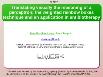 Translating visually the reasoning of a  perceptron: the weighted rainbow boxes  technique and an
