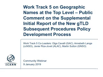 Work Track 5 on Geographic  Names at the Top Level  Public  Comment on the Supplemental  Initial