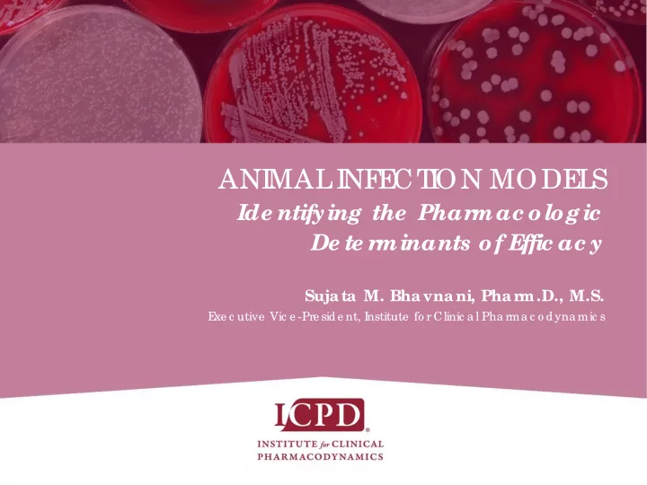 ani mal i nf e ct i on mode l s