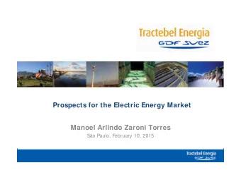Prospects for the Electric Energy Market  Manoel Arlindo Zaroni Torres  So Paulo, February 10,