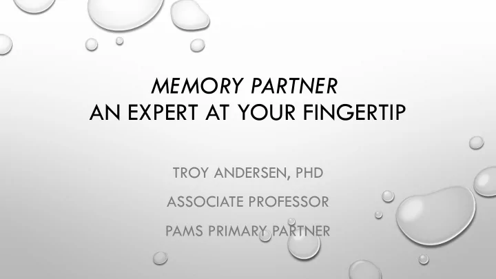 memory partner an expert at your fingertip