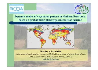 Dynamic model of vegetation pattern in Nothern Euro-Asia  based on probabilistic plant types