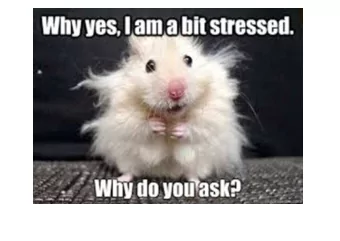 Future proofing our  work stress protections  Adam Taylor, Tackling Stress Project Lead  UNISON