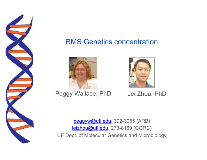 bms genetics concentration