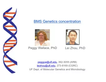 BMS Genetics concentration  Peggy Wallace, PhD  Lei Zhou, PhD  peggyw@ufl.edu, 392-3055 (ARB)