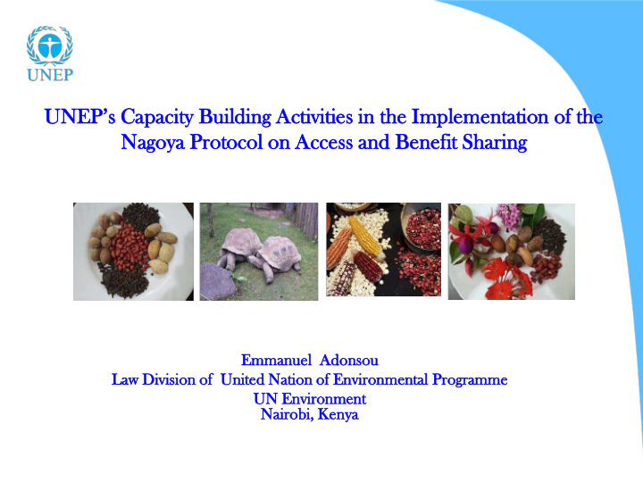 unep s capacity building activities in the implementation