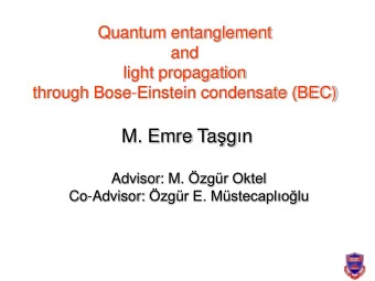 M. Emre Ta  g  n Advisor: M. zgr Oktel Co-Advisor: zgr E. Mstecaplolu  Outline