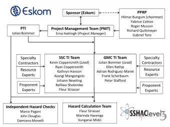 PPRP Sponsor (Eskom ) Hilmar Bungum ( chairman )  Fabrice Cotton  Roger Musson  PTI  Project