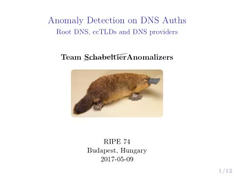 Anomaly Detection on DNS Auths  Root DNS, ccTLDs and DNS providers   Team