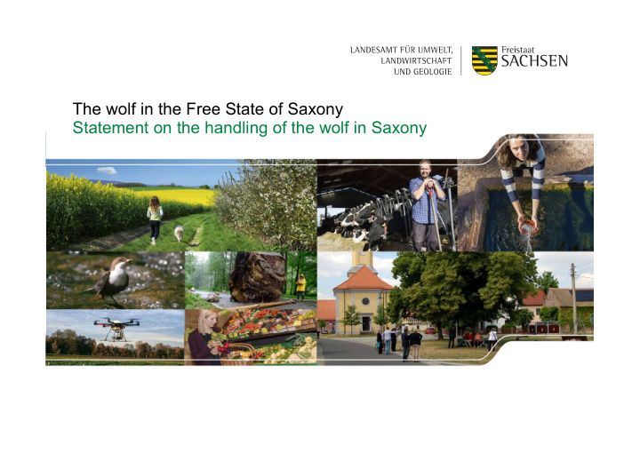 the wolf in the free state of saxony statement on the