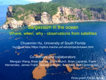 Sargassum in the ocean  Where, when, why - observations from satellites  Chuanmin Hu, University of