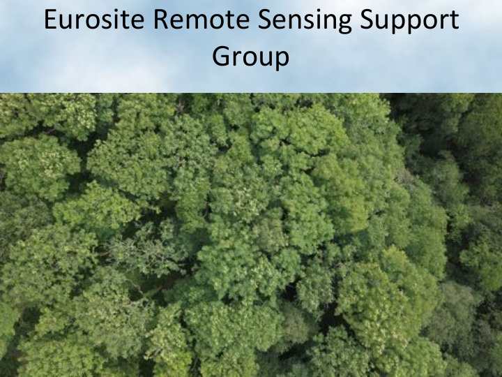 eurosite remote sensing support group how did this group