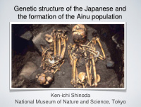 genetic structure of the japanese and the formation of