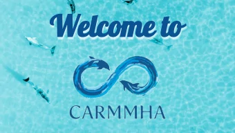 Welcome to 200 million gallons of crude oil  began to  spread...  What does an oil spill do to  the