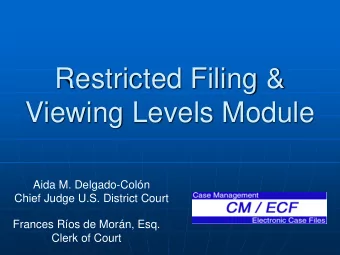 Restricted Filing &amp; Viewing Levels Module  Aida M. Delgado-Coln  Chief Judge U.S. District